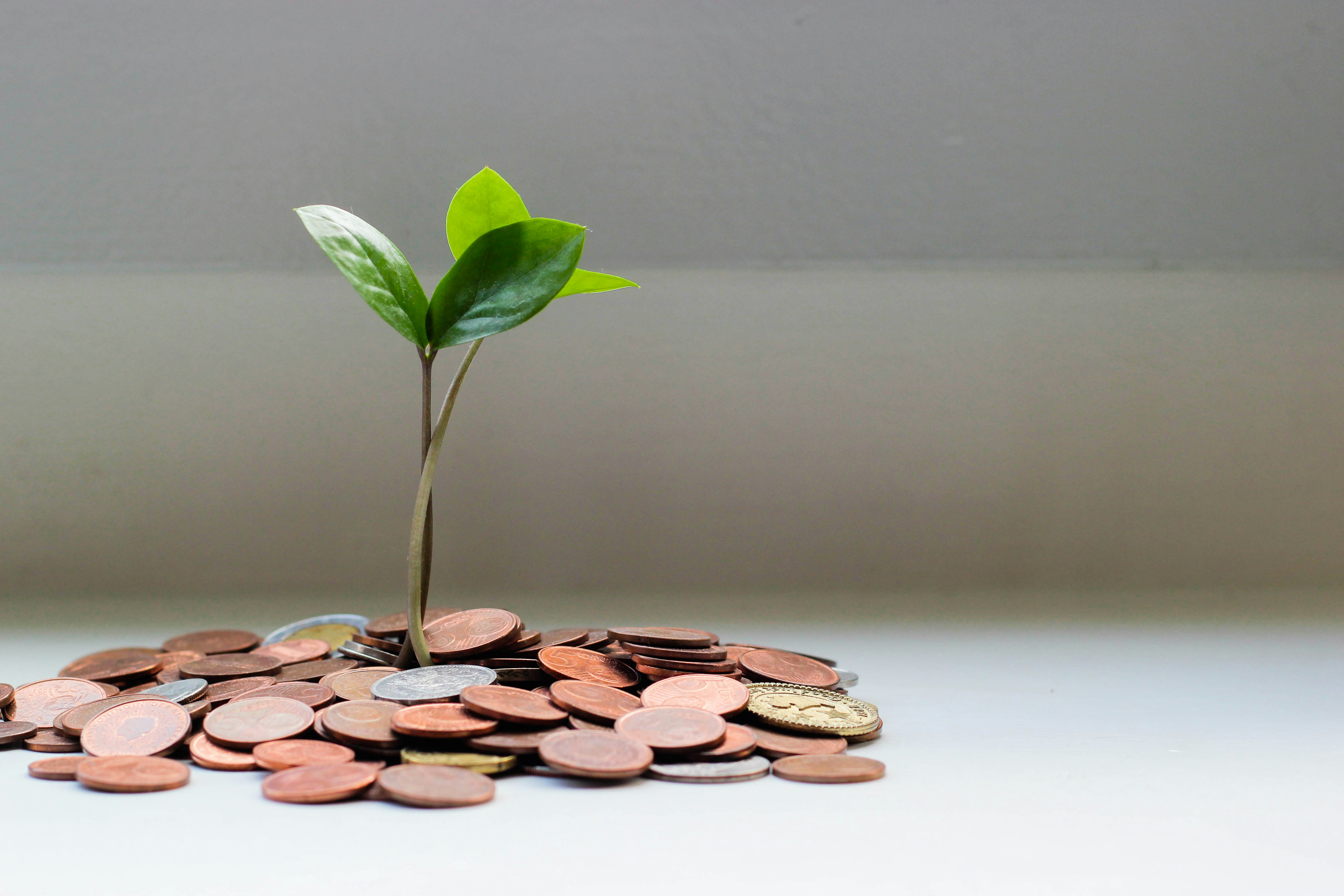 What's the Best Way to Pay for a Home Renovation? 1 img
