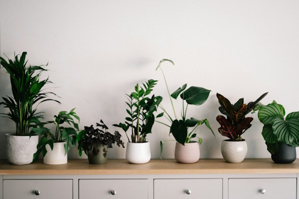 Decorative Ideas To Make a Statement in Your Home 2 img