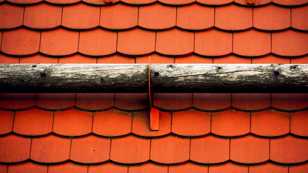 Outdoor Improvements That Can Boost Your Curb Appeal 4 img