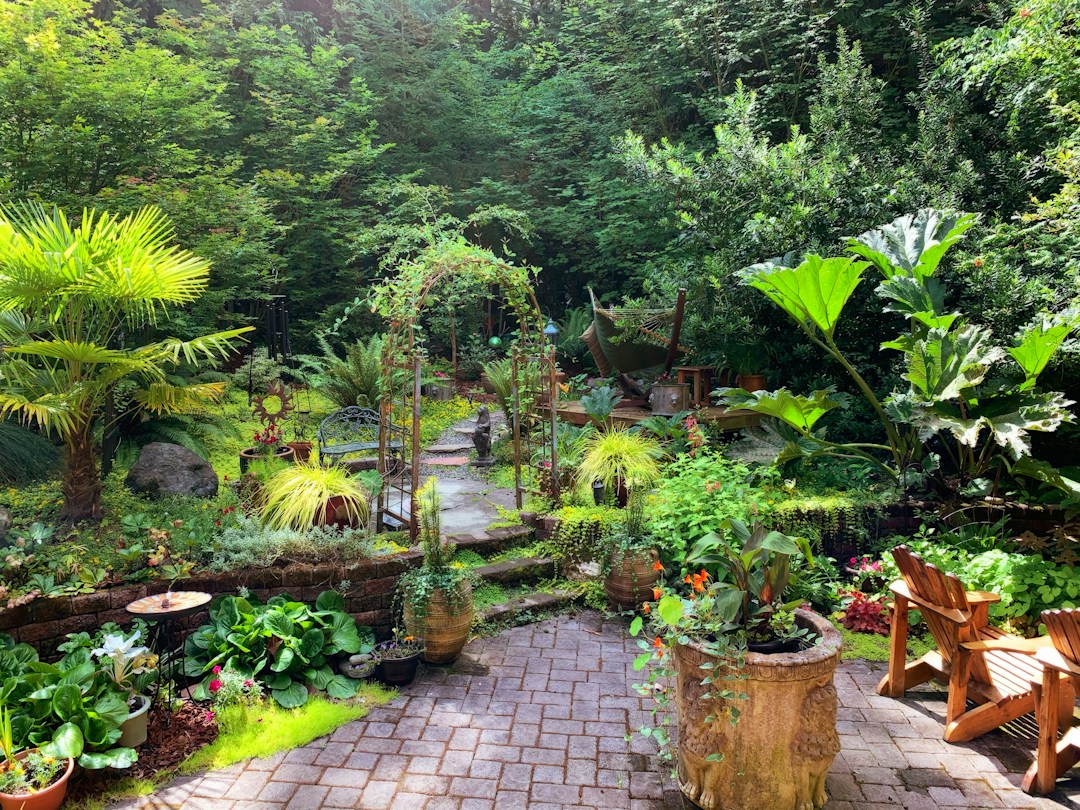 Outdoor Improvements That Can Boost Your Curb Appeal 1 img